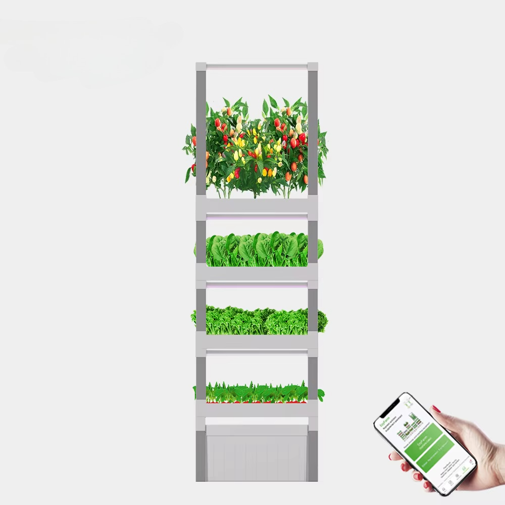 NT الصين نظام صندوق النمو الما - مراجعة Home Automation Systems Diy وسعره